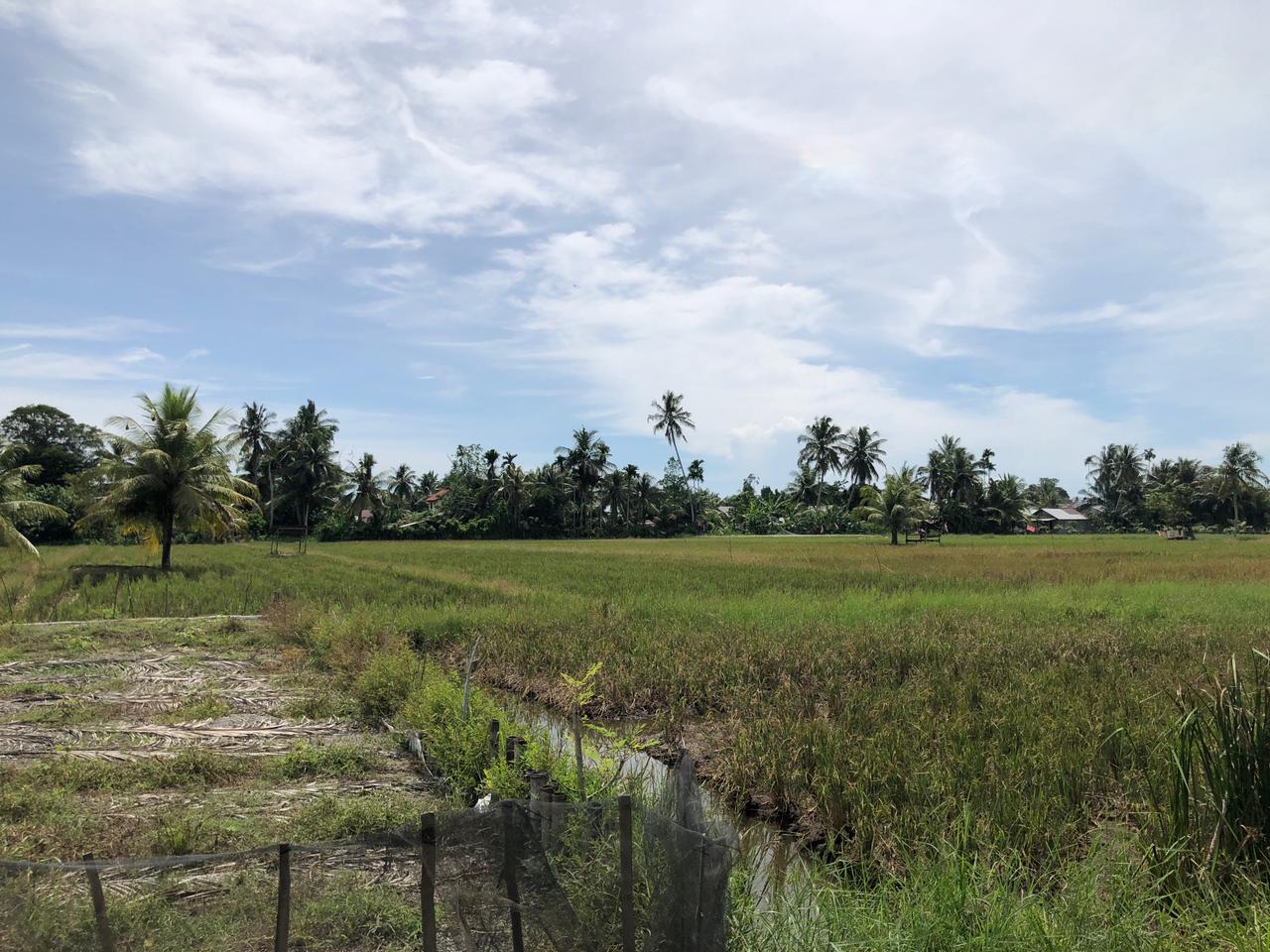 Gambar Lahan