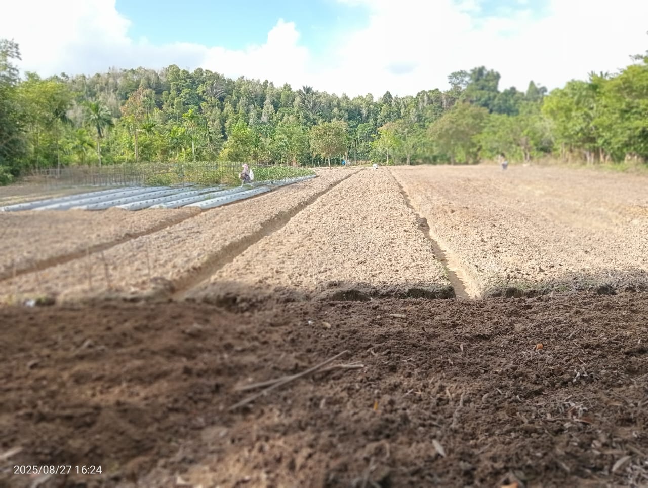 Gambar Lahan