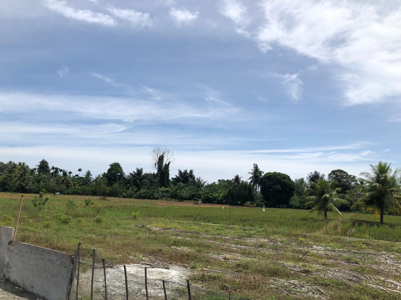 Gambar Lahan